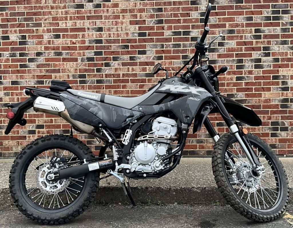 2024 Kawasaki KLX®300R 300R in Duncansville, PA