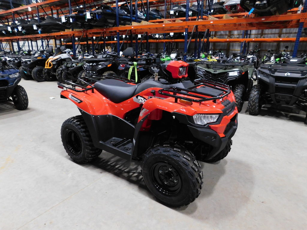2026 Kawasaki Brute Force® 300 in kalamazoo MI
