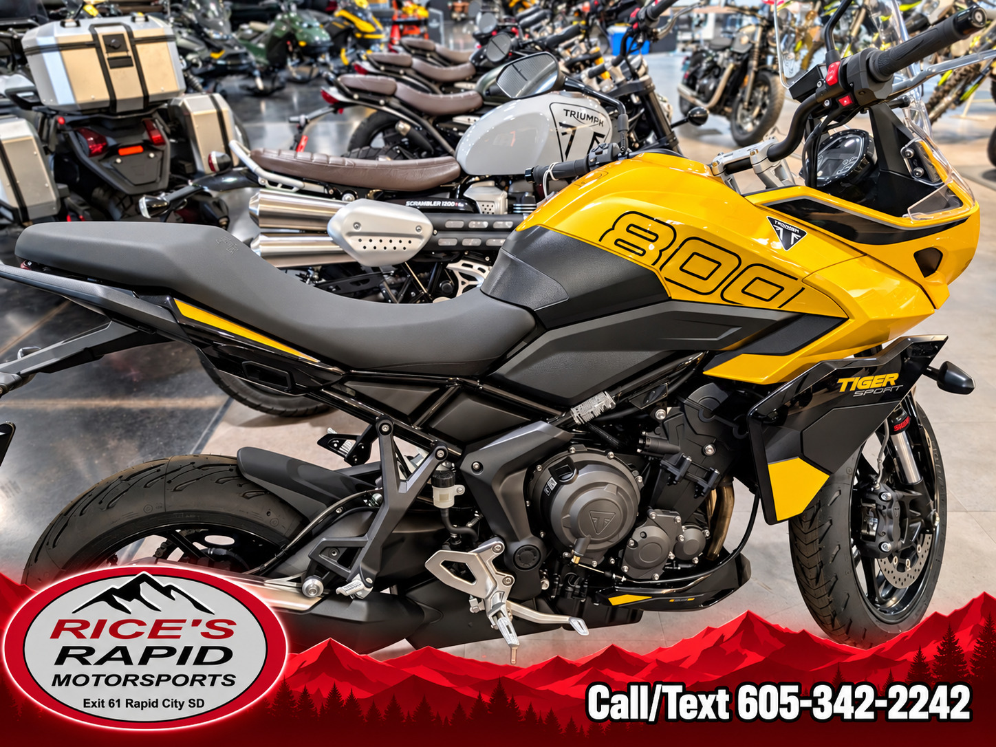 2025 Triumph Tiger Sport 800 800 in Rapid City, SD