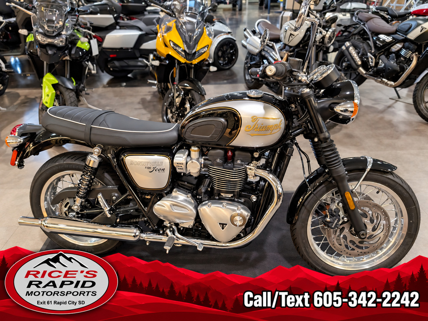 2025 Triumph Bonneville T120 BASE in Rapid City, SD