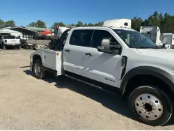 2025 FORD F450