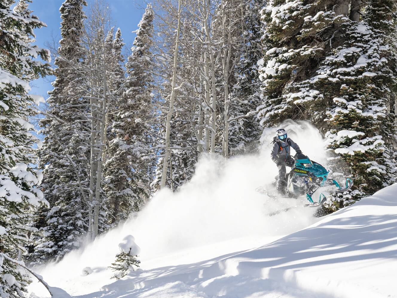 A photo of this 2025 Polaris 850 PRO RMK 155 SC