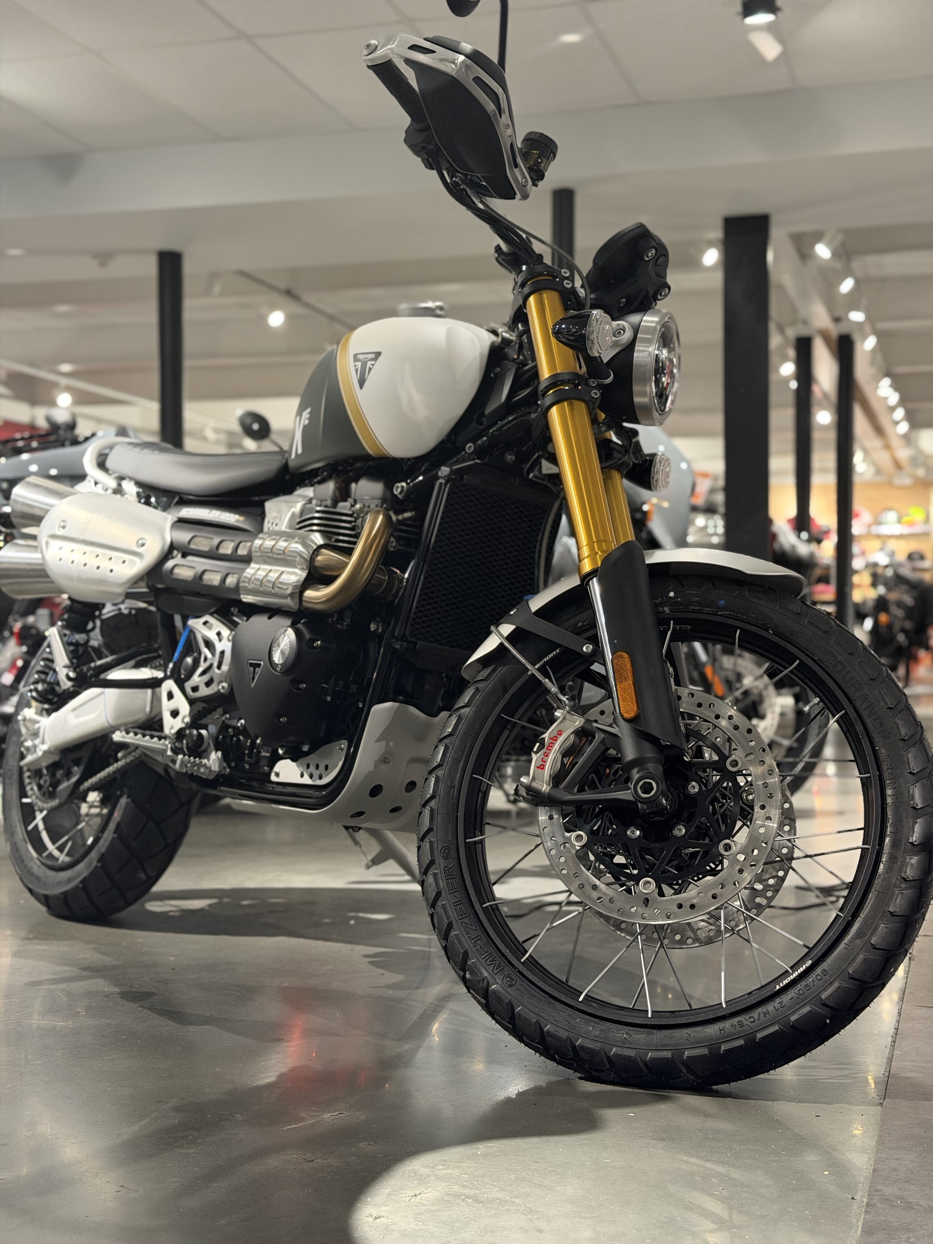 2026 Triumph Scrambler 1200 XE XE in Norwich, CT