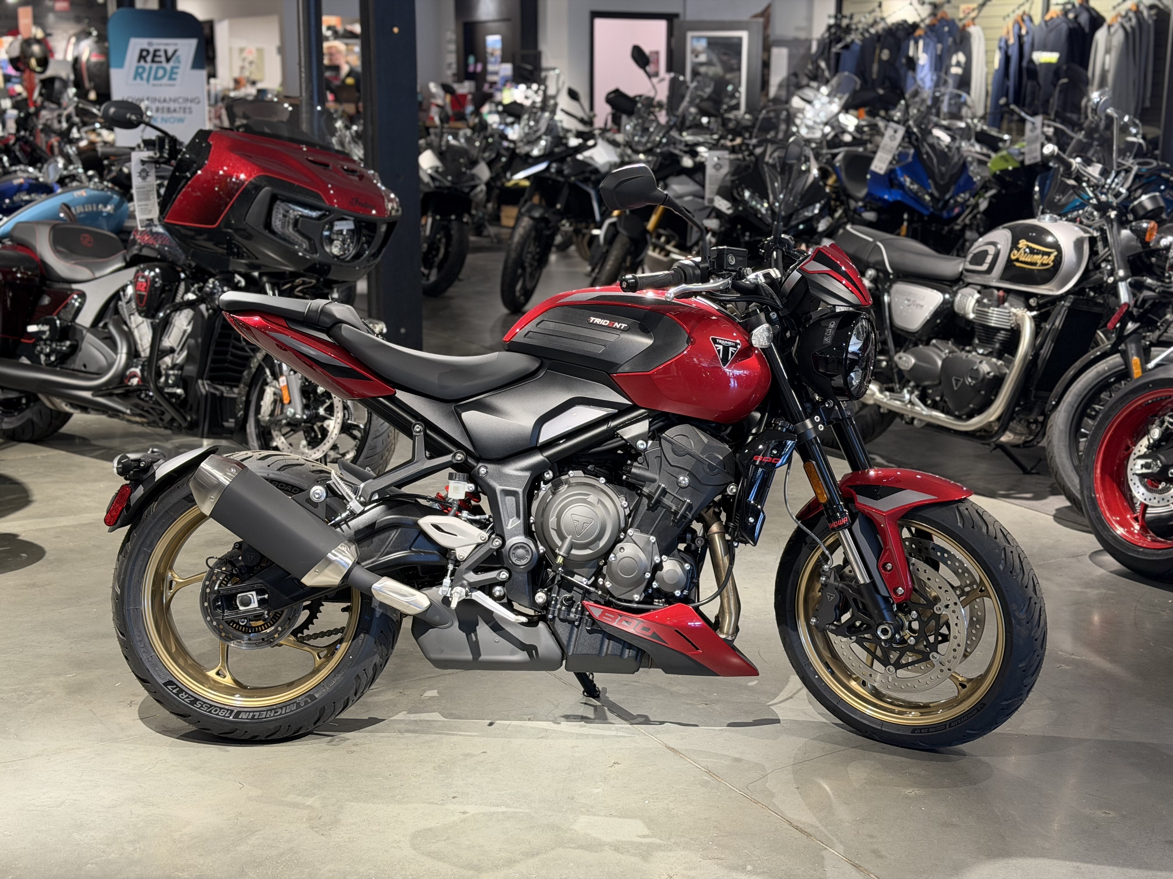 2026 Triumph Trident 800 800 in Norwich, CT