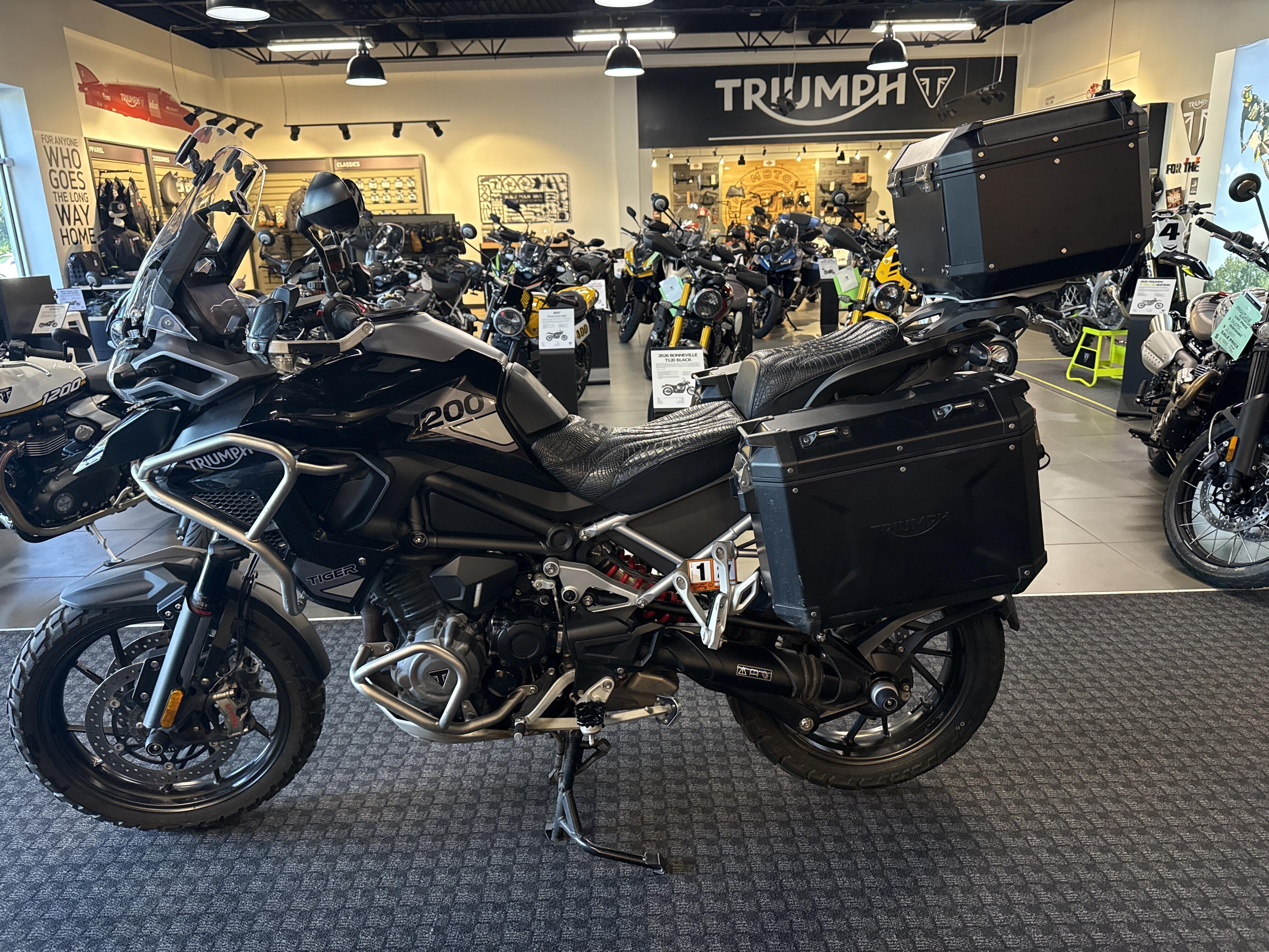 2023 Triumph Tiger 1200 GT Pro GT PRO in Salem, VA
