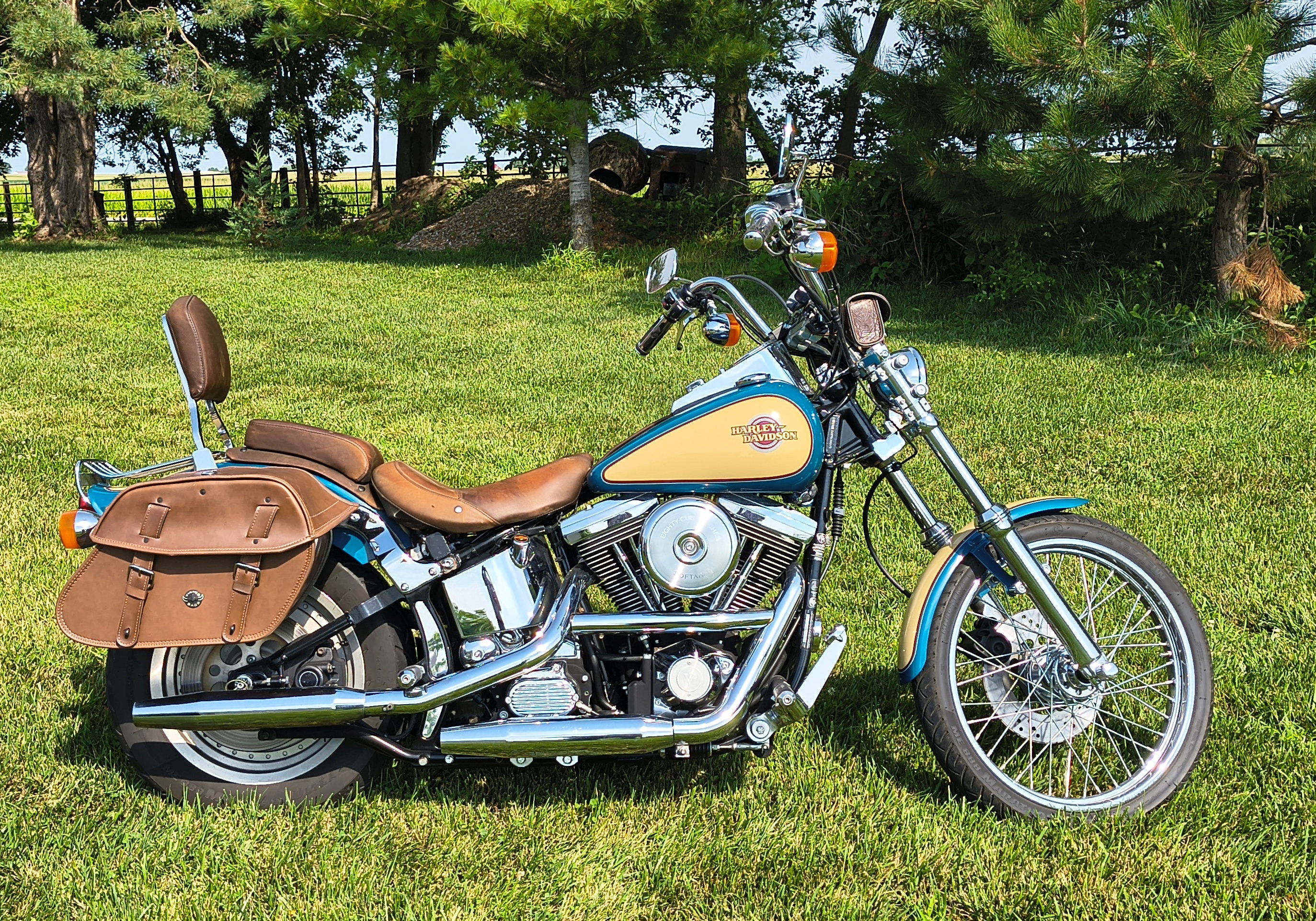 1998 Harley-Davidson SOFTAIL CUSTOM CUSTOM in Bondurant, IA