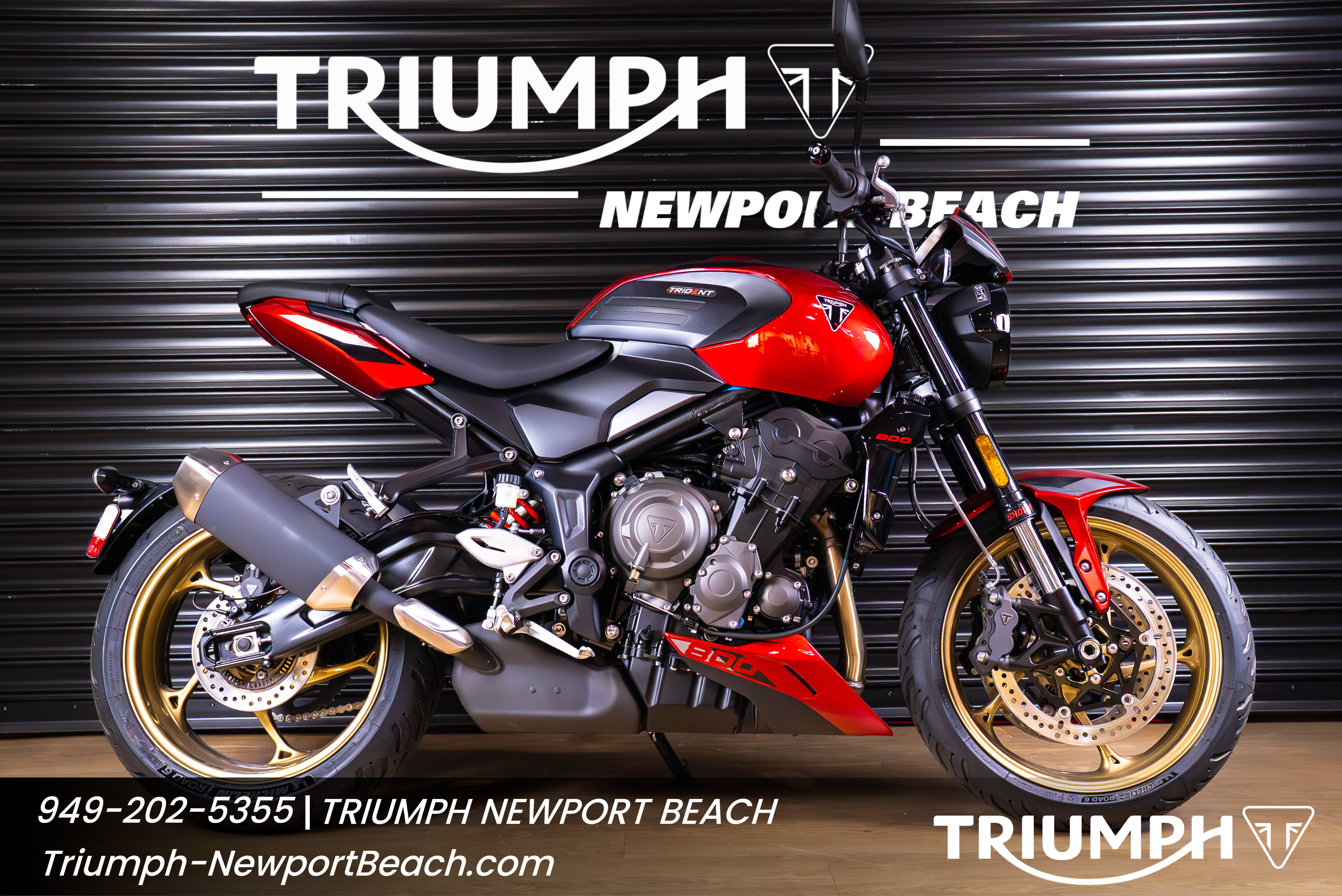 2026 Triumph TRIDENT 800 800 in Costa Mesa, CA