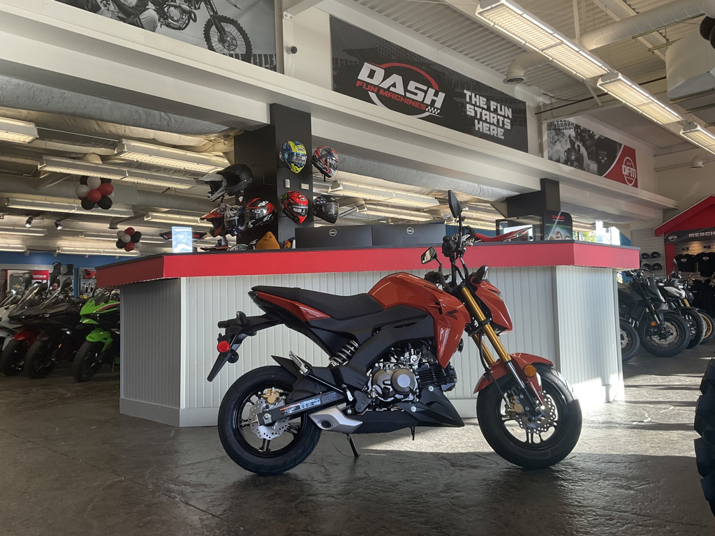 2025 Kawasaki Z125 PRO Base 125 PRO in Canandaigua, NY
