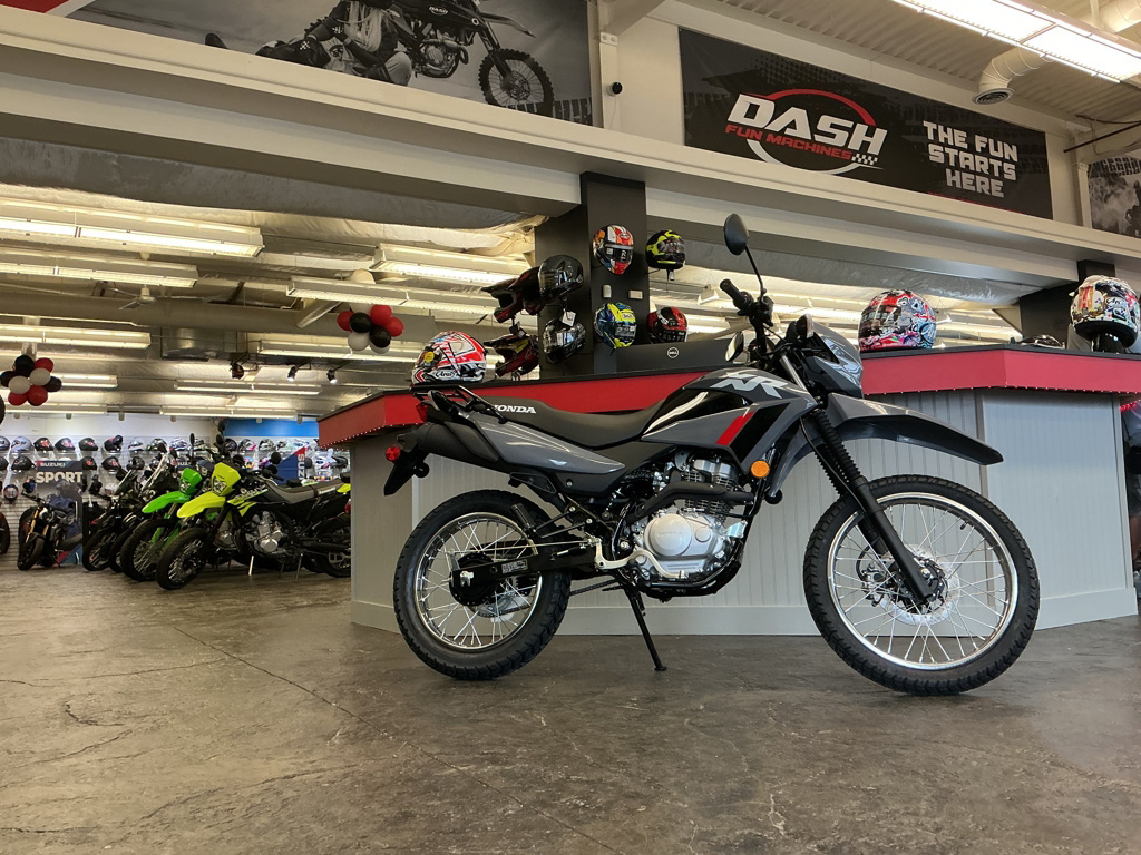 2026 Honda XR 150L 150L in Canandaigua, NY