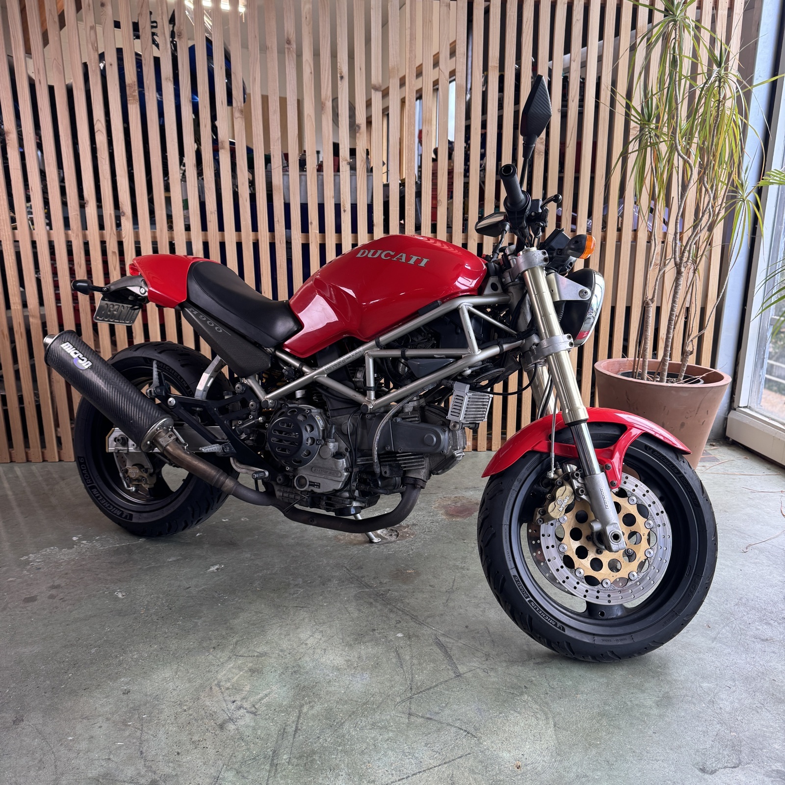 1995 Ducati MONSTER 900 900 in Seattle, WA