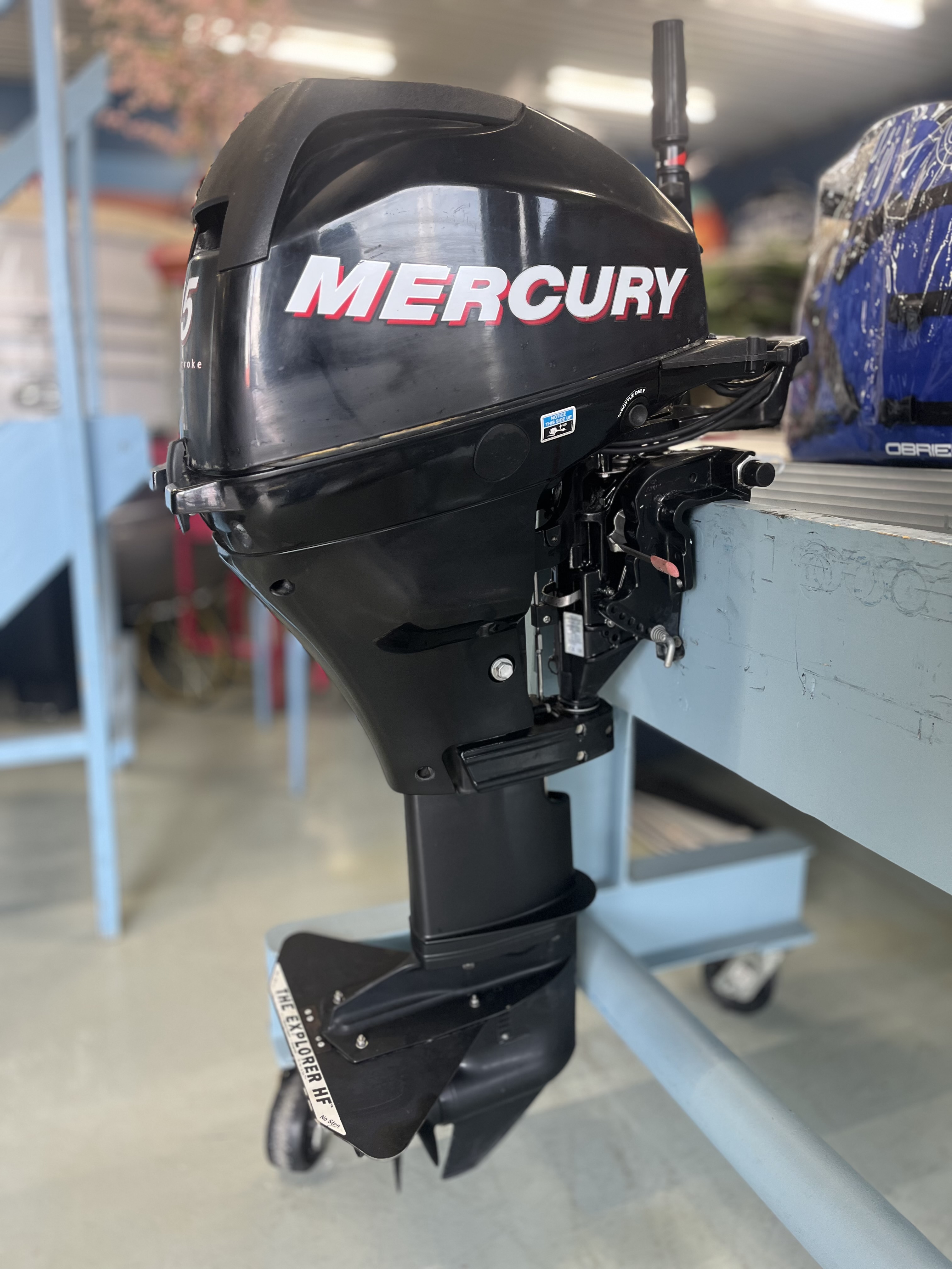 2010 Mercury 15ML 4-STROKE in la porte IN