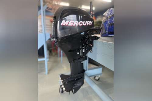 2010 Mercury 15ML 4-STROKE in la porte IN