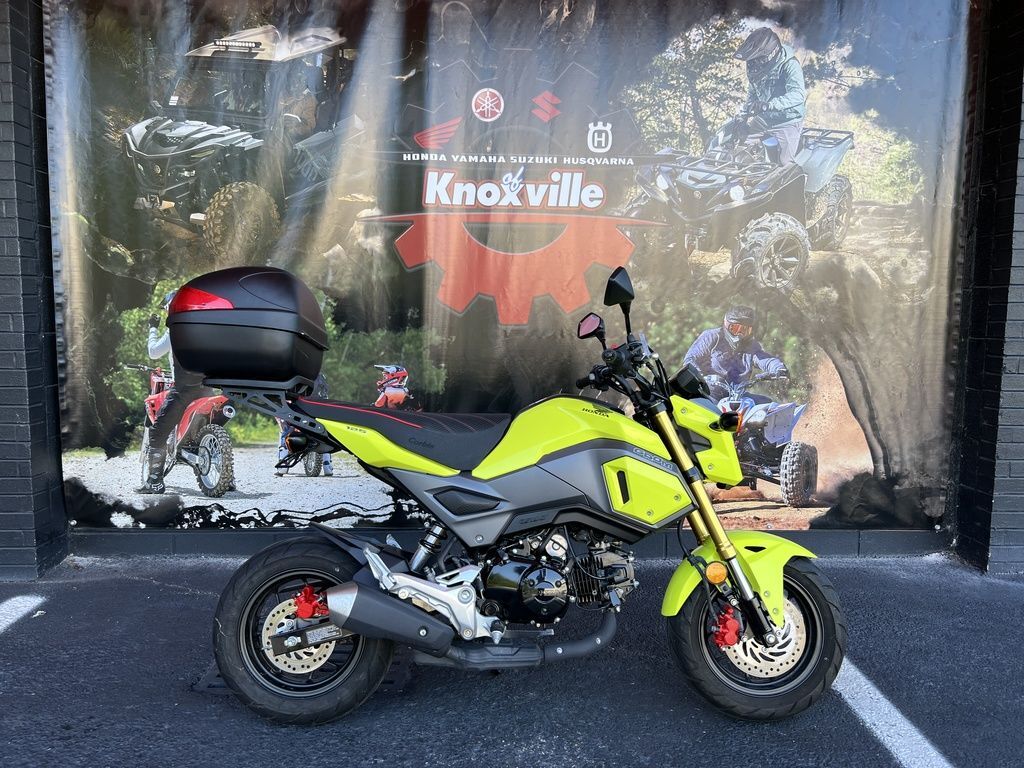 2018 Honda® Grom in Knoxville, TN