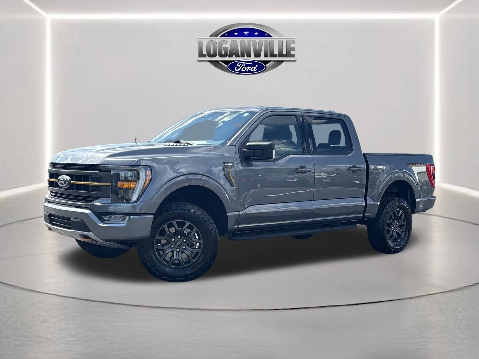 2023 FORD F150 in Loganville, GA