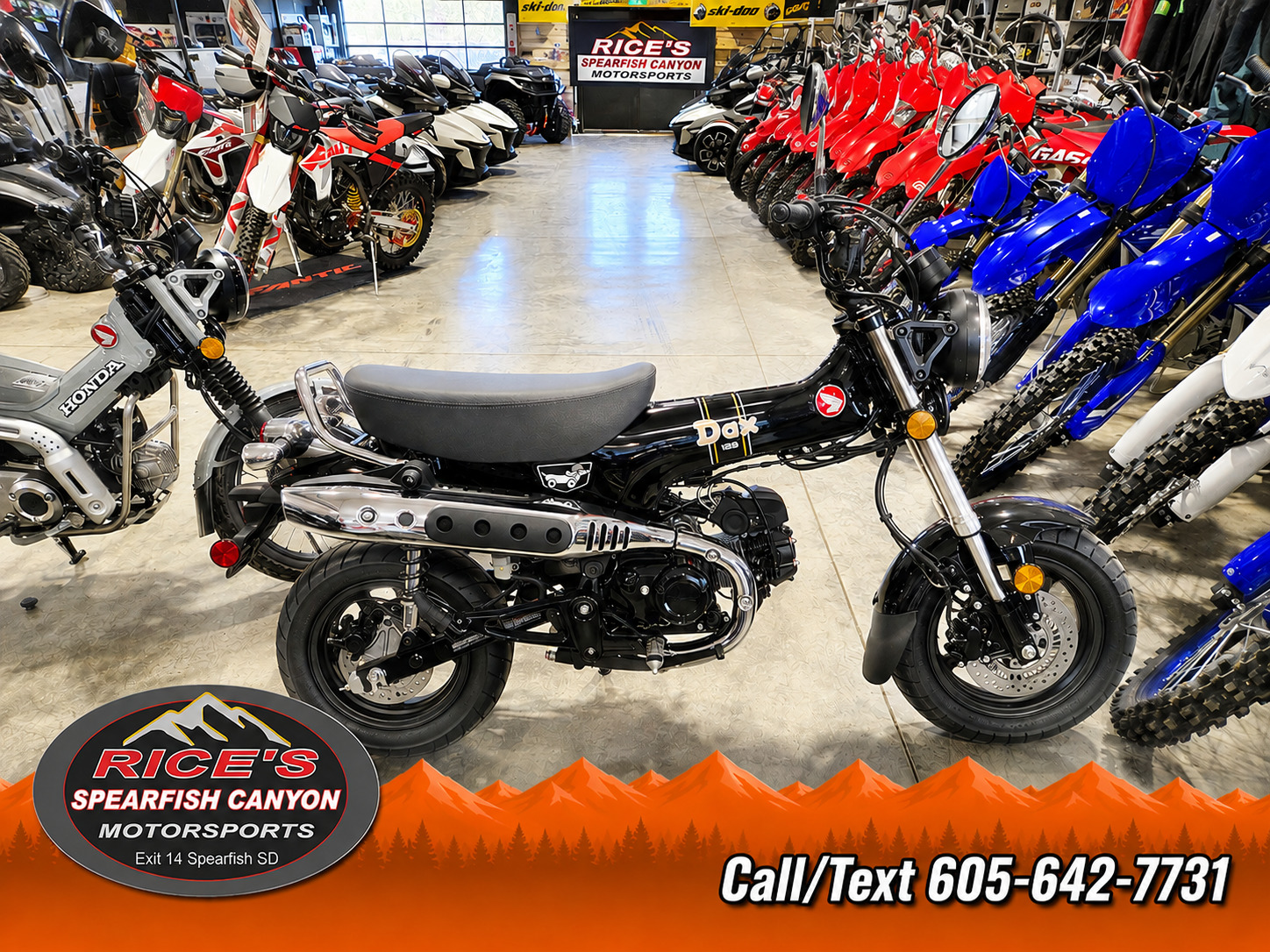 2026 Honda Dax 125 125 in Rapid City, SD