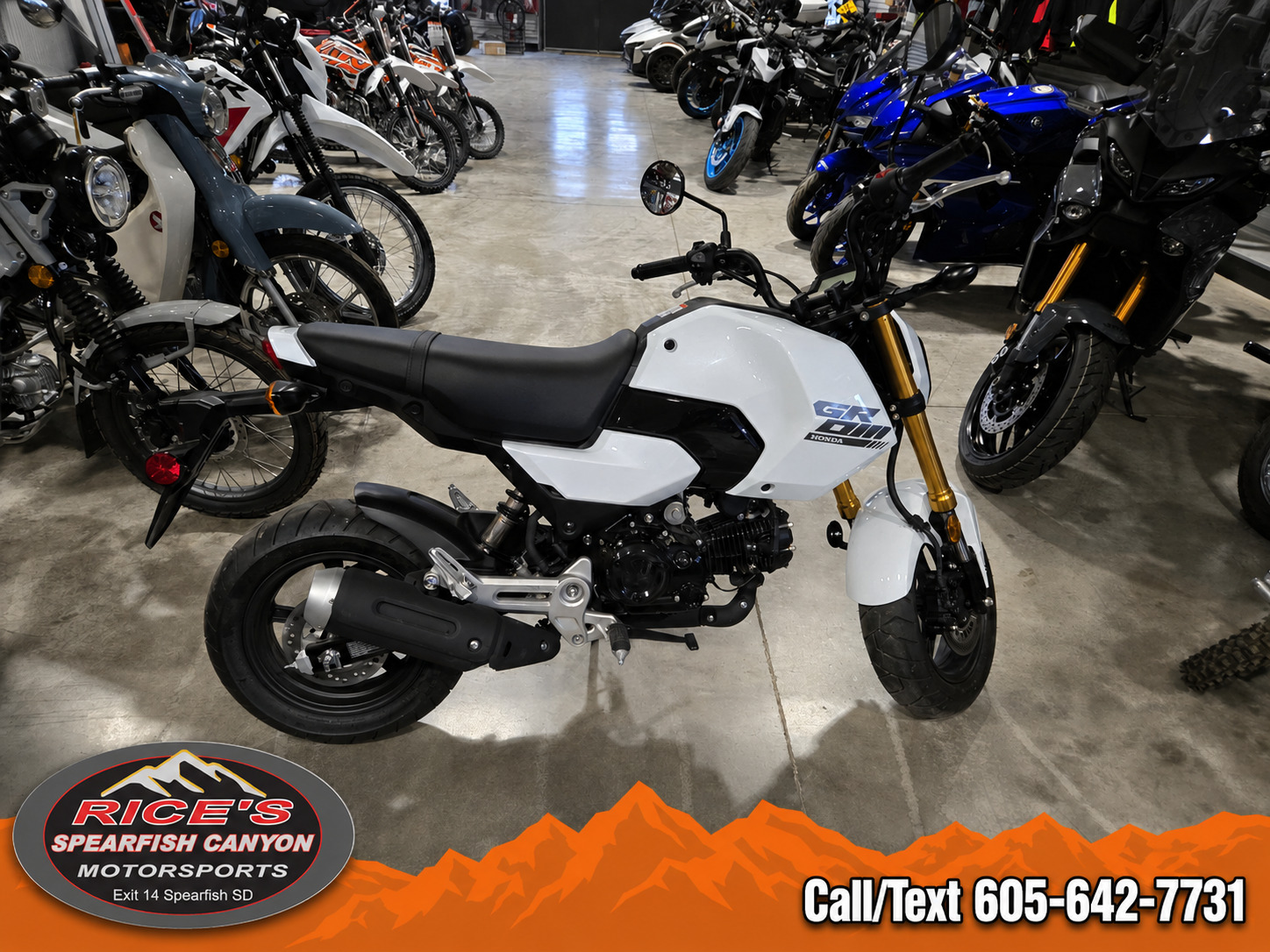 2025 Honda Grom in Rapid City, SD