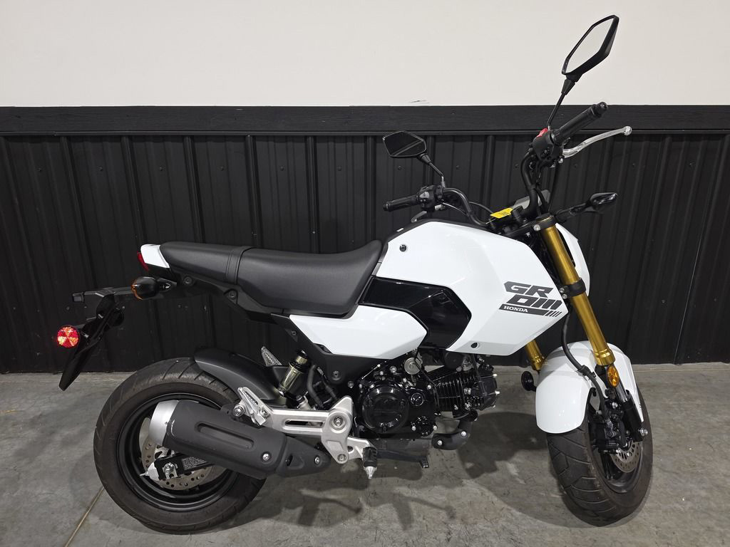 2025 Honda Grom in Camp Hill, PA