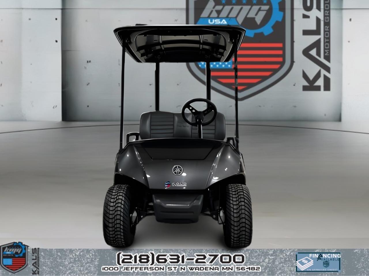 2019 Yamaha Drive 2 Electric NEW Batteries PTV ELECTRIC in wadena MN