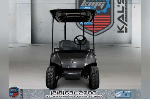 2019 Yamaha Drive 2 Electric NEW Batteries PTV ELECTRIC in wadena MN