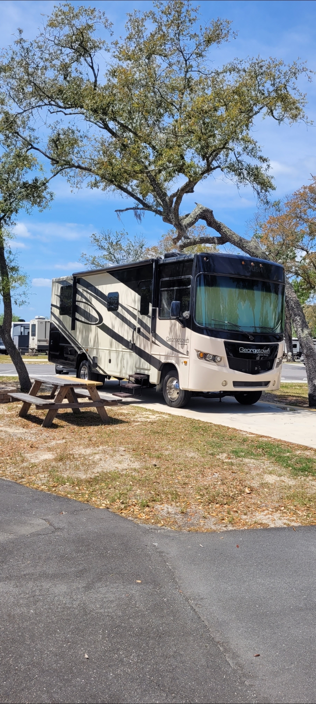2015 Forest River GEORGETOWN 270S in meyersdale PA
