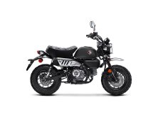 2026 Honda Monkey First Ride image