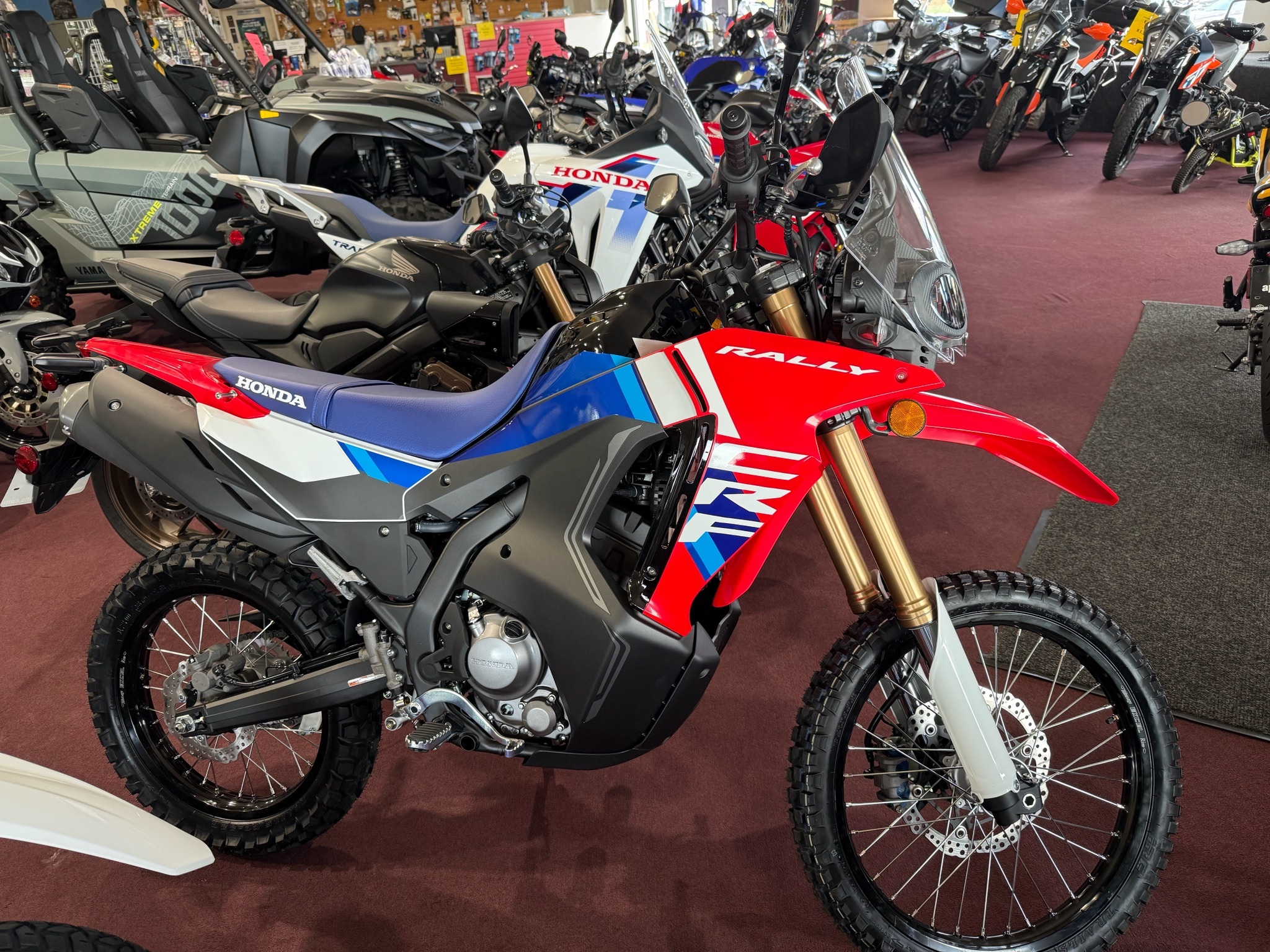 2026 Honda CRF300L Rally ABS 300L RALLY ABS in Belle Plaine, MN