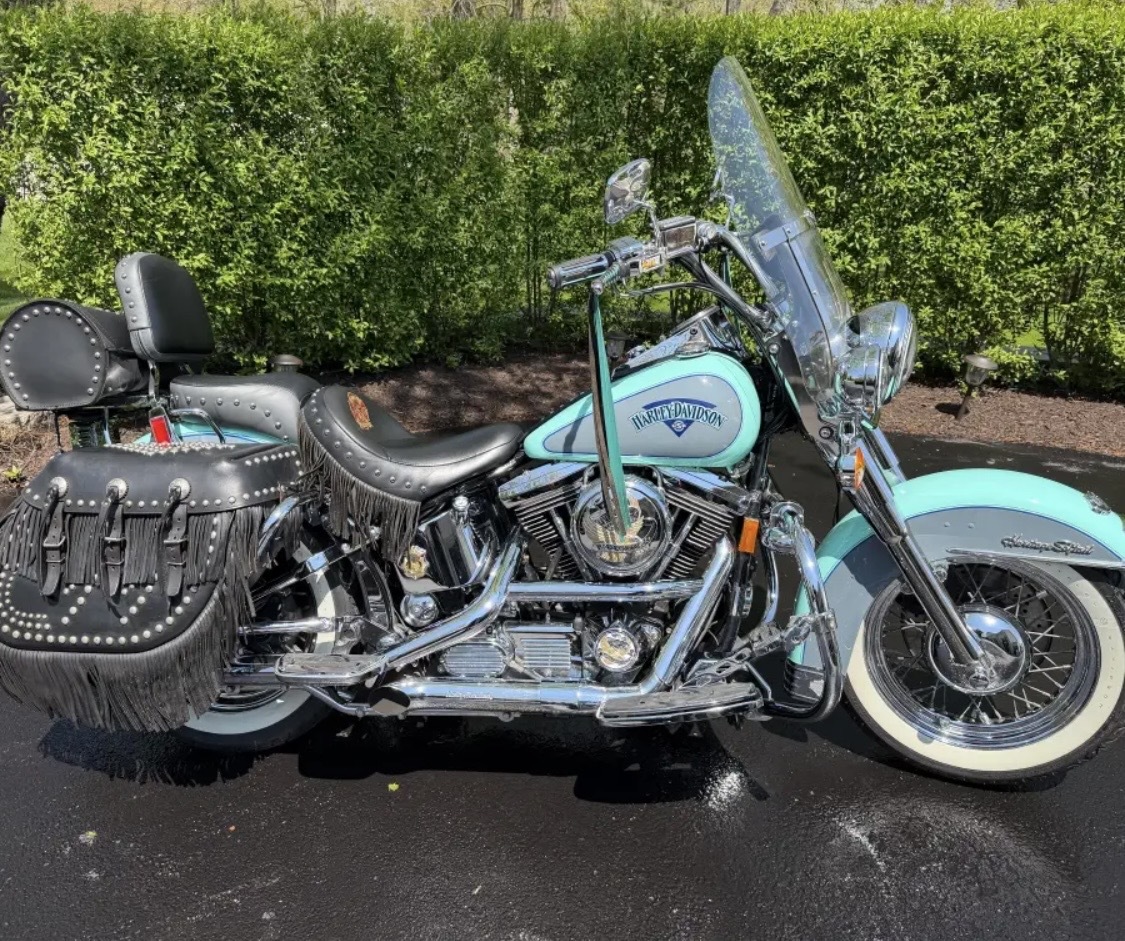 1994 Harley-Davidson HERITAGE SOFTAIL CLASSIC CLASSIC in Island Lake, IL