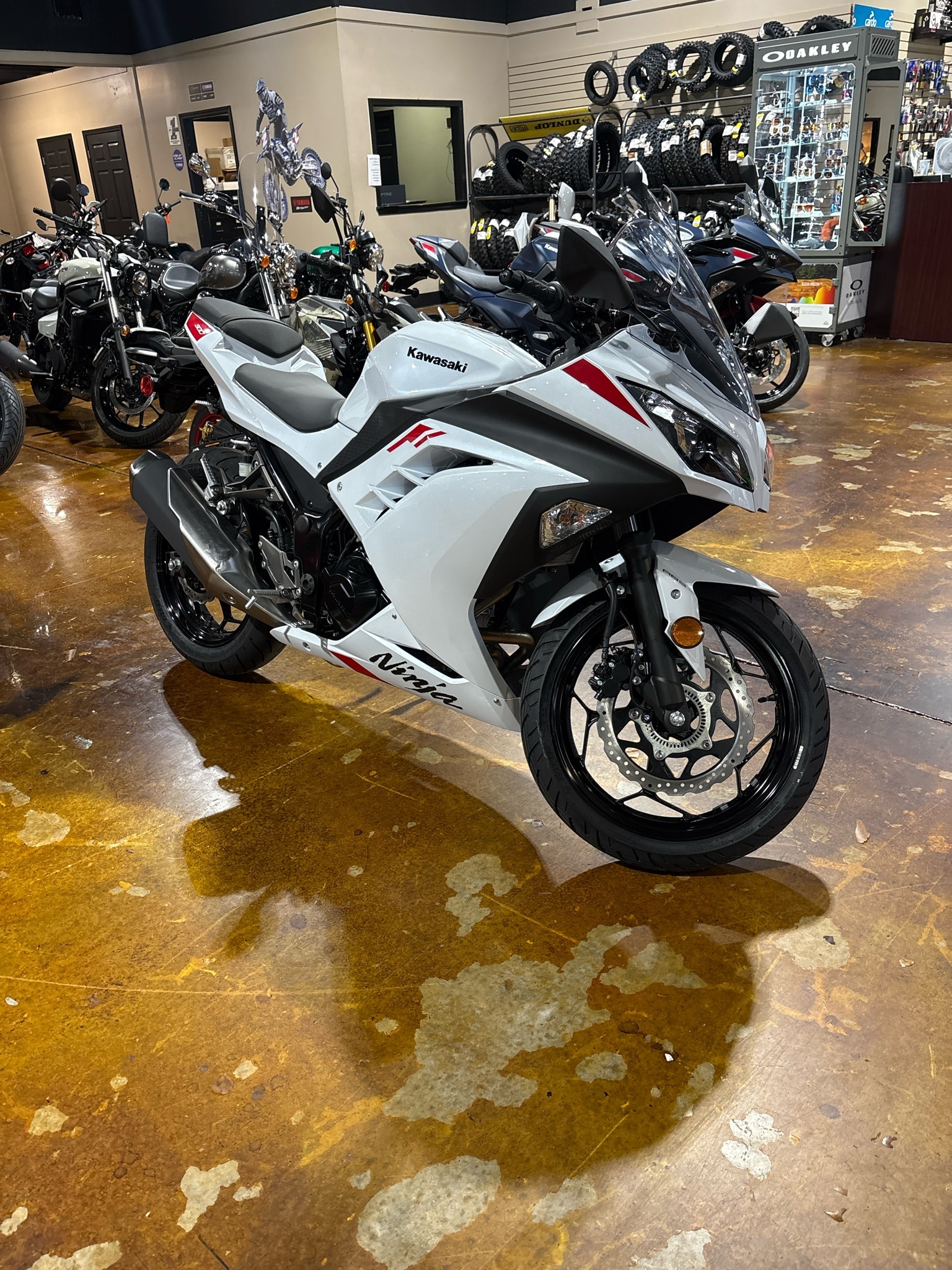 2026 Kawasaki Ninja® 300 ABS 300 ABS in Cookeville, TN
