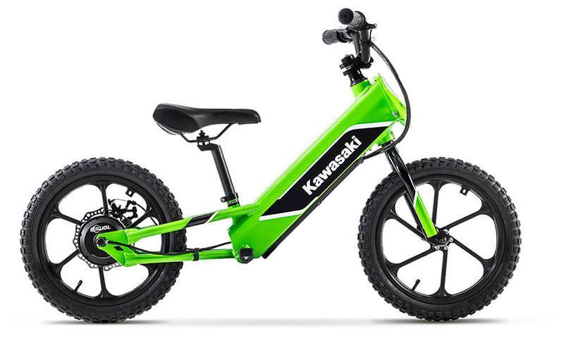 2023 Kawasaki Elektrode in Fremont, CA