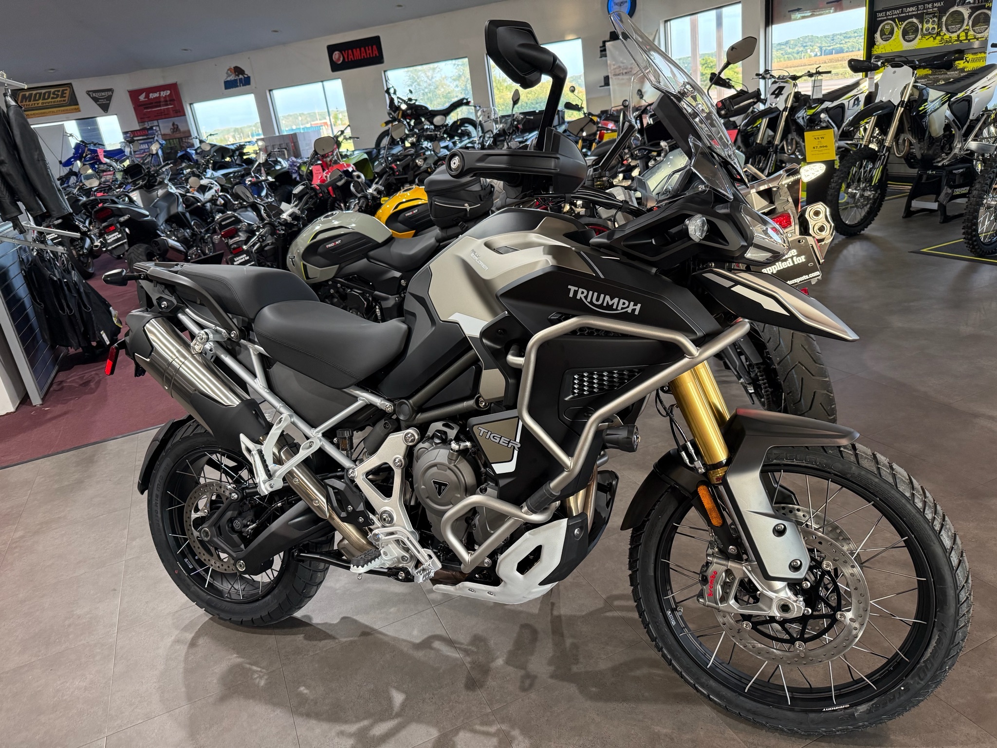 2025 Triumph Tiger 1200 Rally Explorer RALLY EXPLORER in Belle Plaine, MN