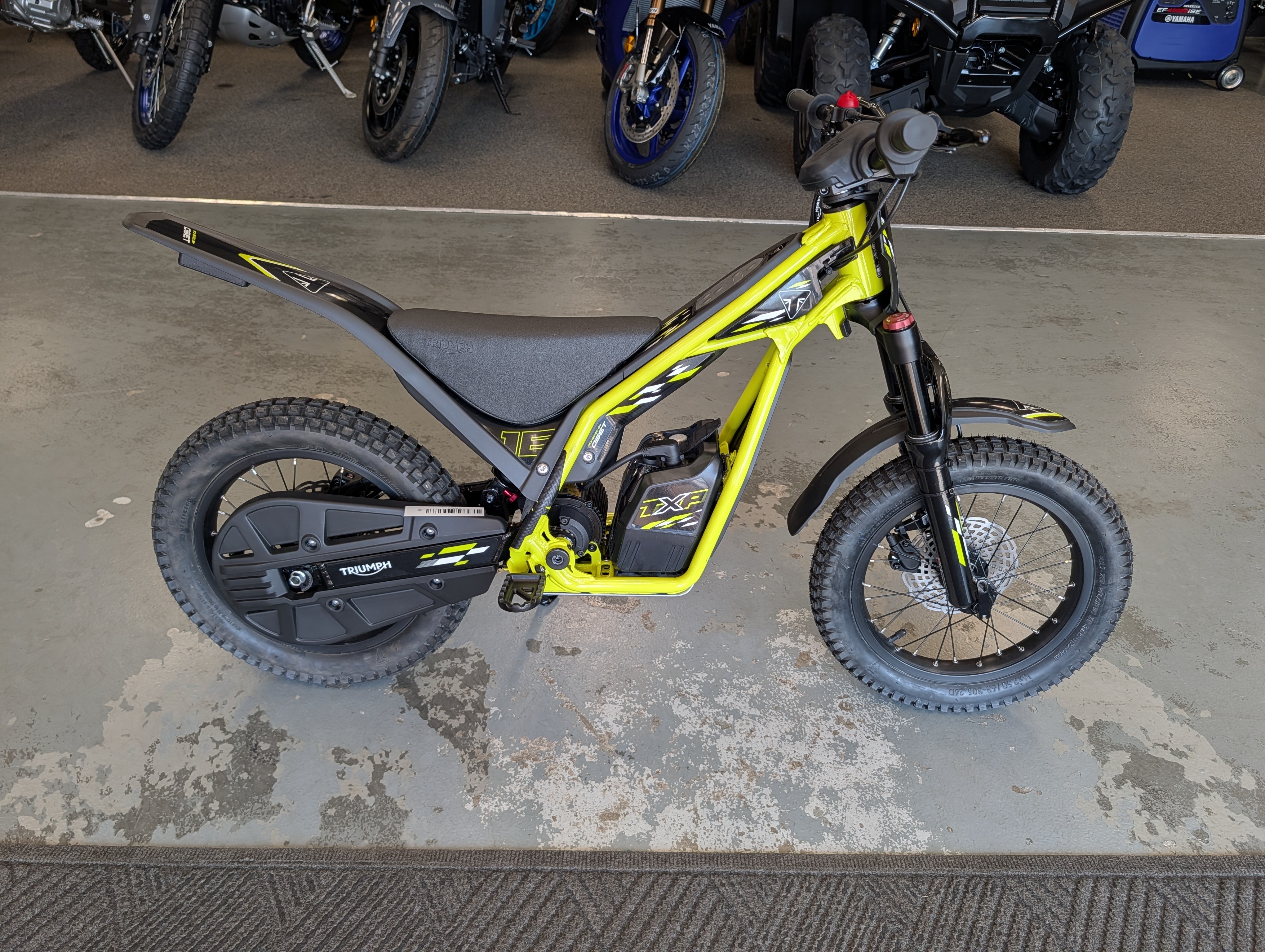 2026 Triumph None in Maumee, OH