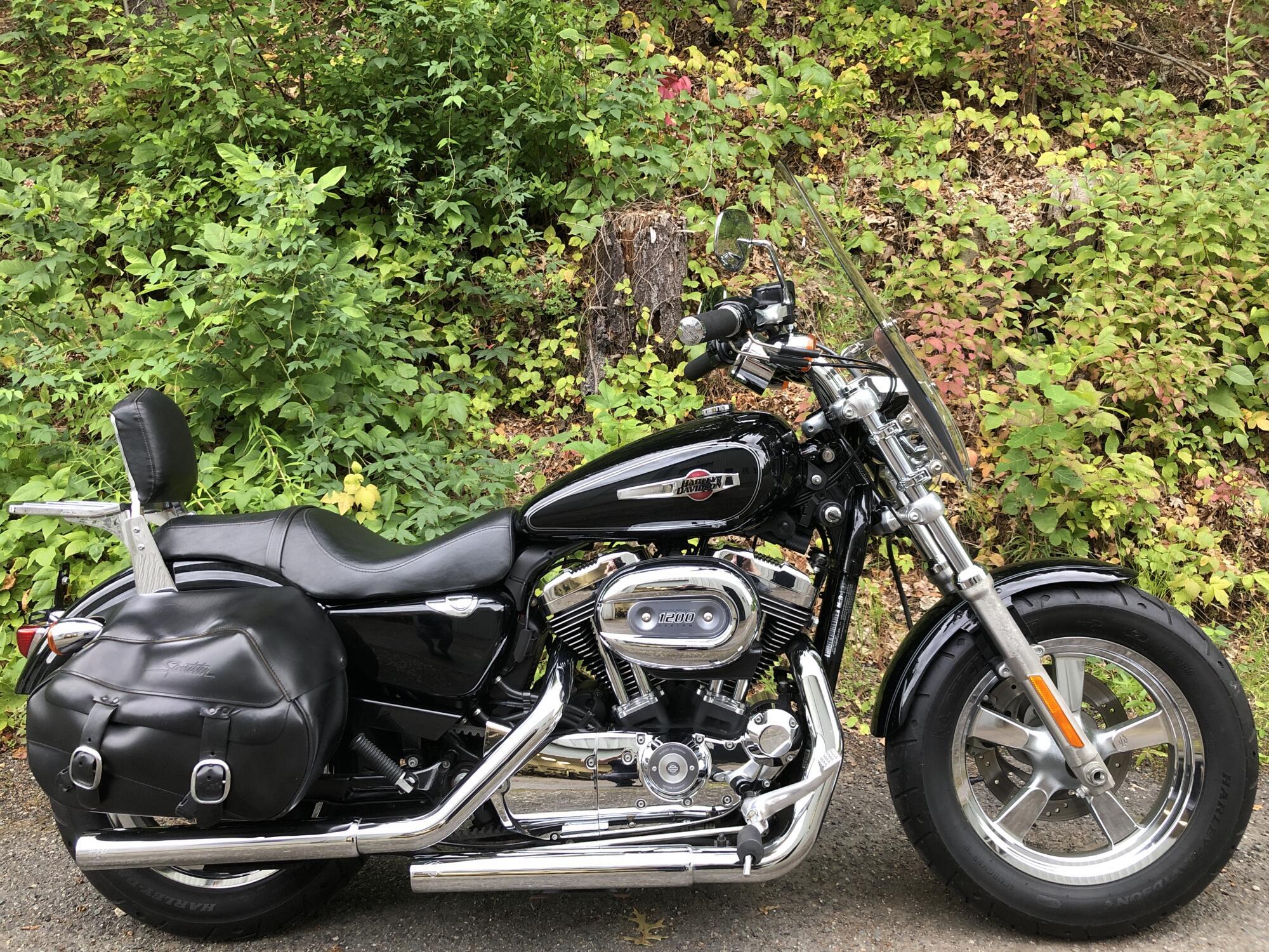 2011 Harley-Davidson 1200 Custom in Bellingham, MA