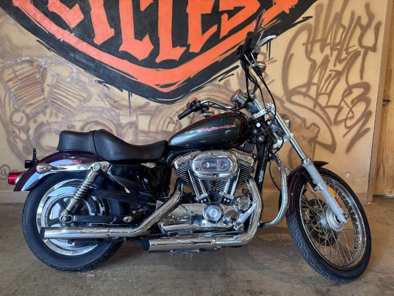 2005 Harley-Davidson SPORTSTER 1200 CUSTOM in Gainesville, FL