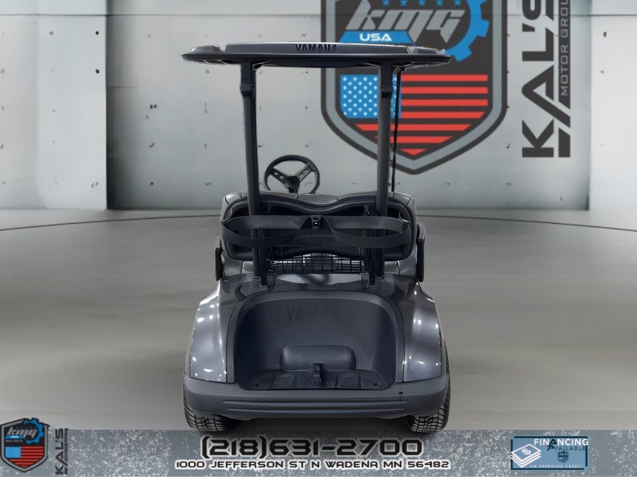 2019 Yamaha Drive 2 Electric NEW Batteries PTV ELECTRIC in wadena MN