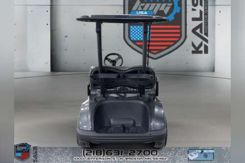2019 Yamaha Drive 2 Electric NEW Batteries PTV ELECTRIC in wadena MN