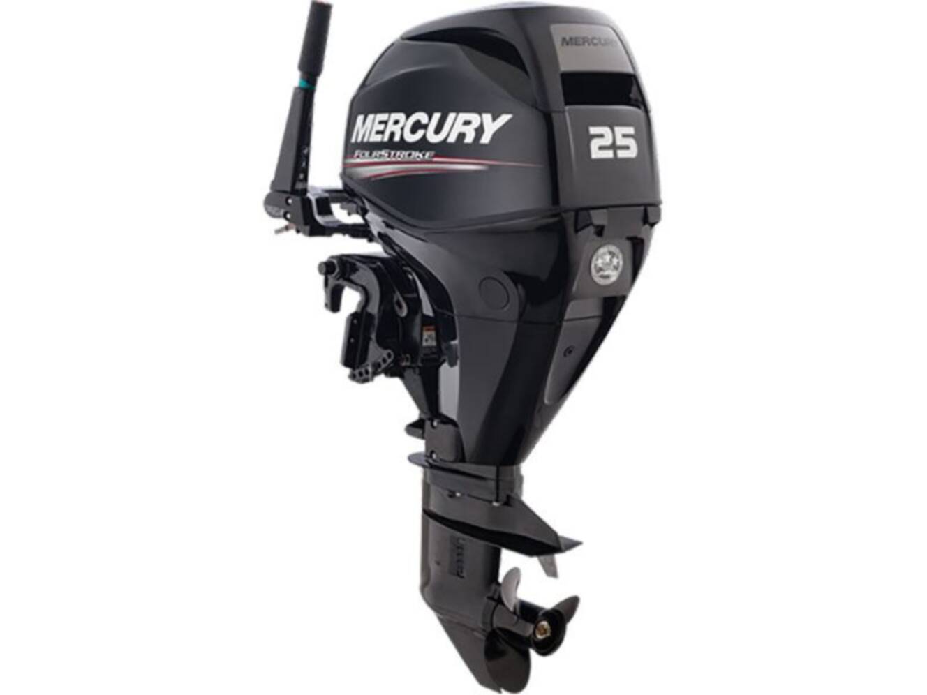 A photo of this Mercury Marine 25EH FourStroke