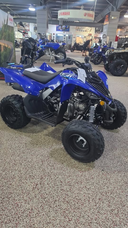 2026 Yamaha Raptor 110 in bear DE