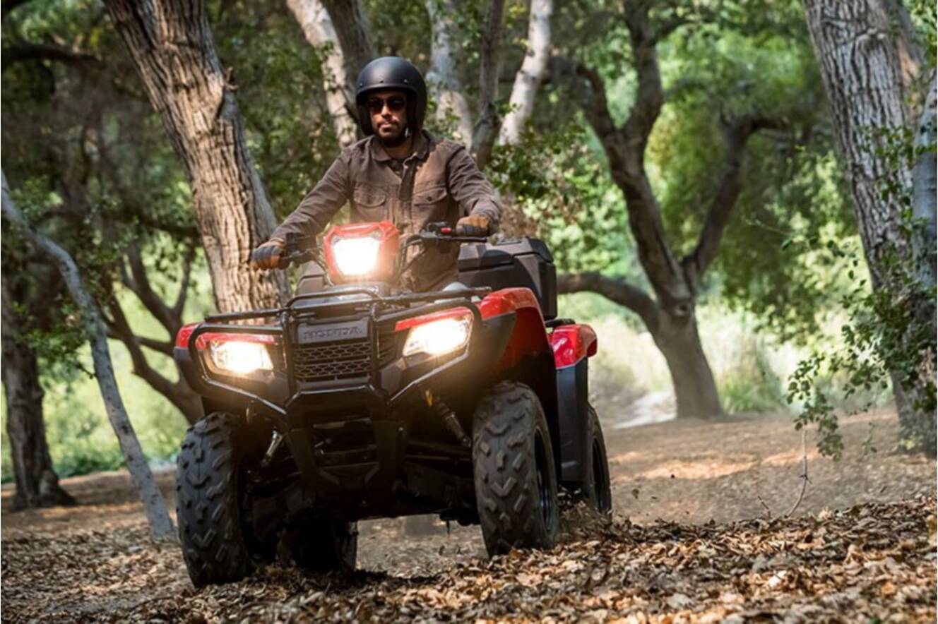 A photo of this 2022 Honda FourTrax Foreman 4x4 ES EPS