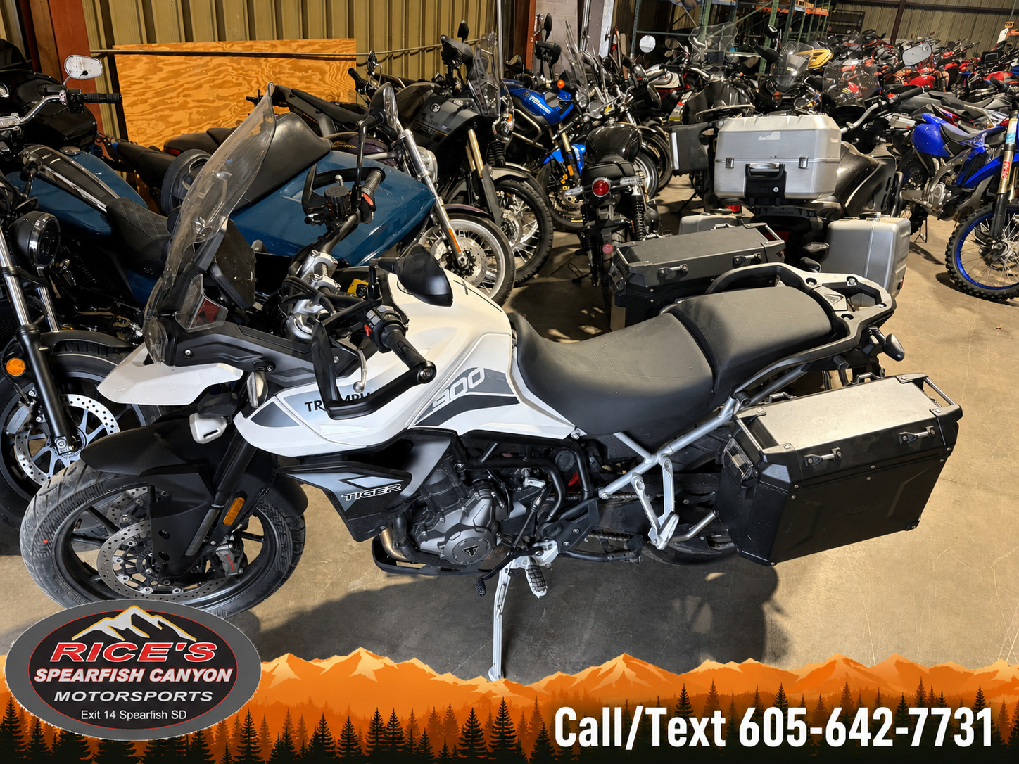 2023 Triumph Tiger 900 GT Pro 900 GT PRO in Rapid City, SD