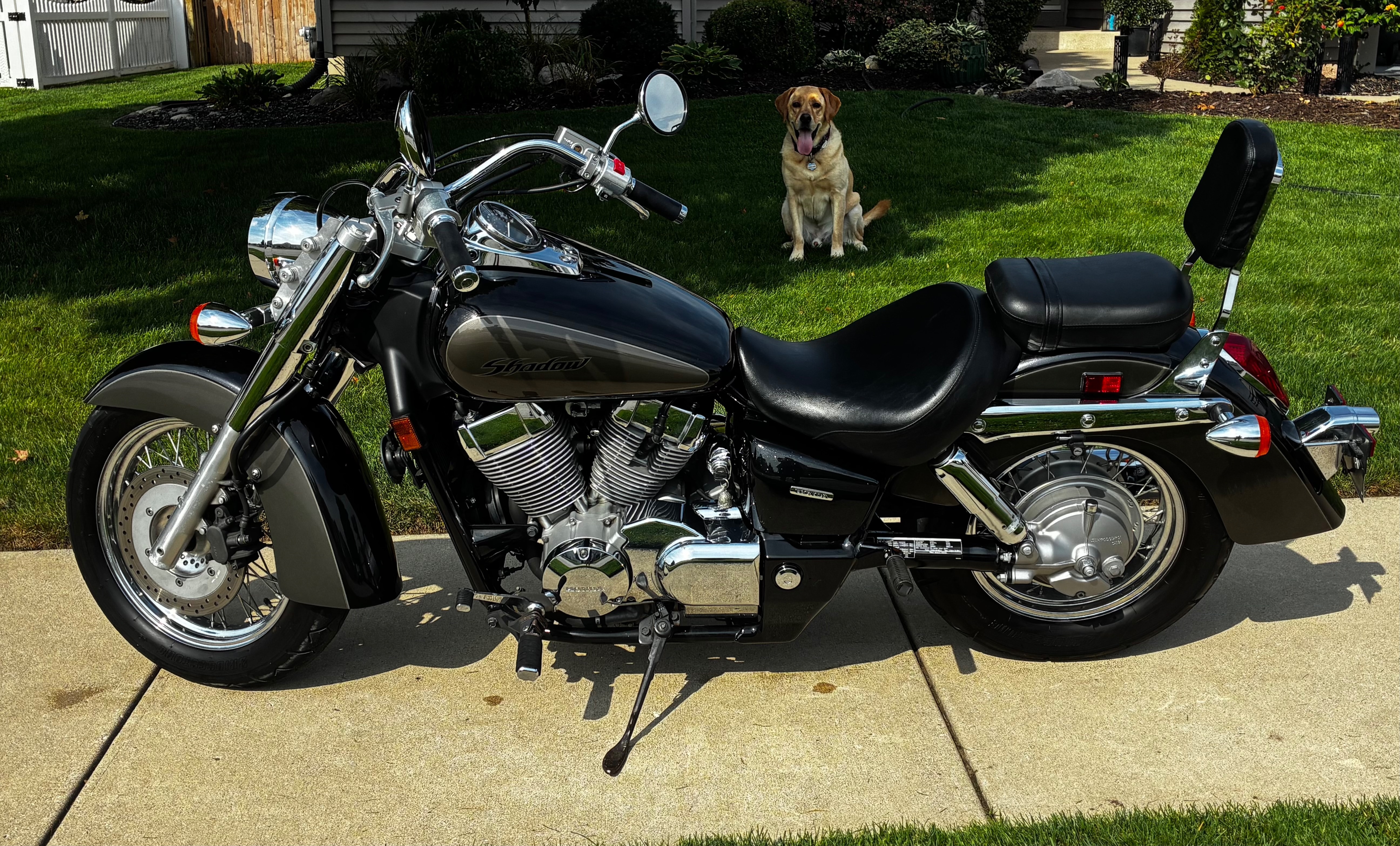 2007 Honda SHADOW AERO 750 AERO 750 in South Bend, IN