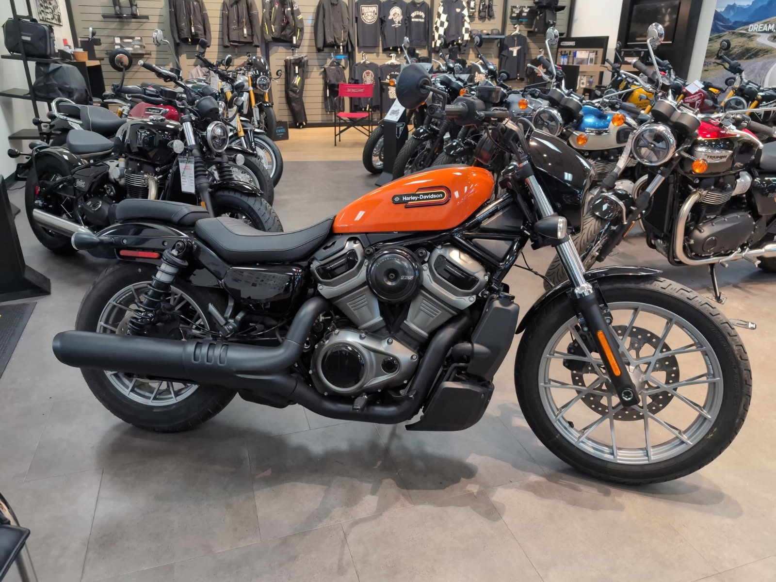 2024 Harley-Davidson Nightster® Special NIGHTSTER in New Haven, CT