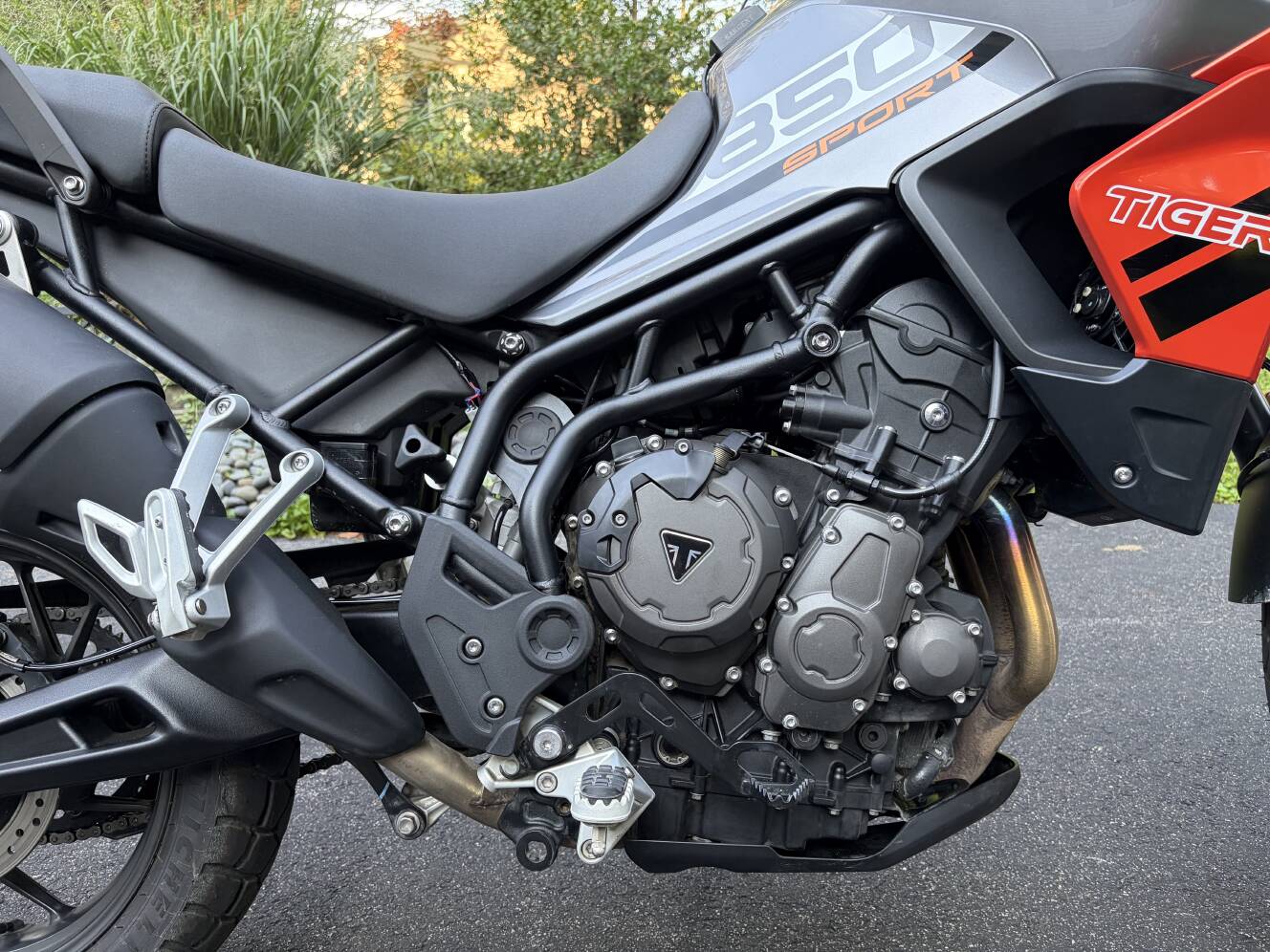 A photo of this 2023 Triumph TIGER SPORT 850