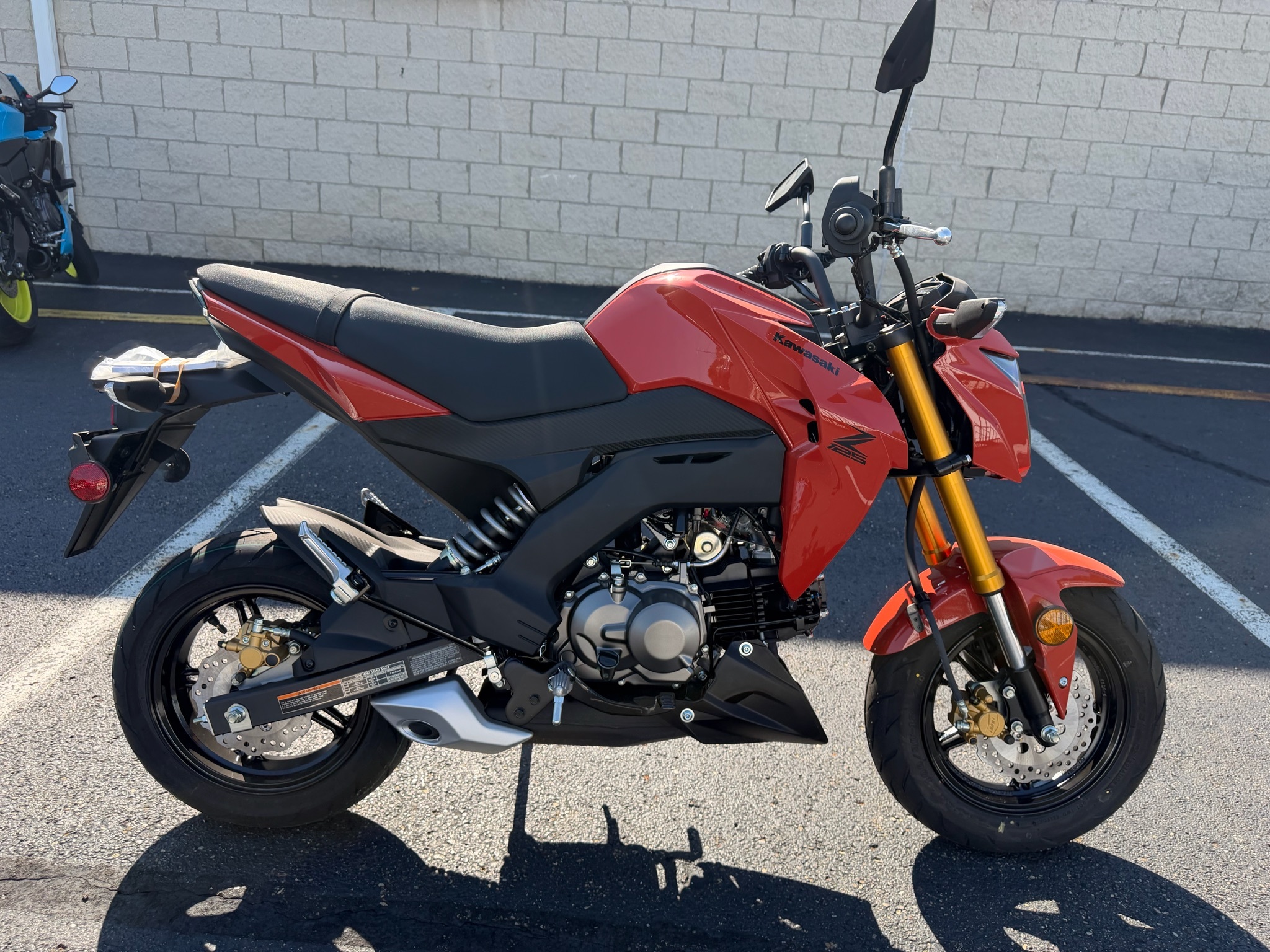2025 Kawasaki Z125 Pro BASE in Massillon, OH