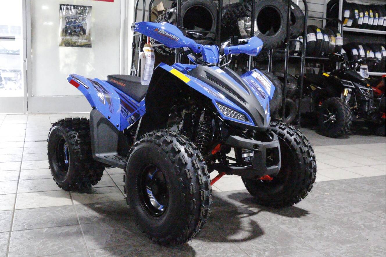 A photo of this 2026 Denago Powersports Trailhawk 10FI