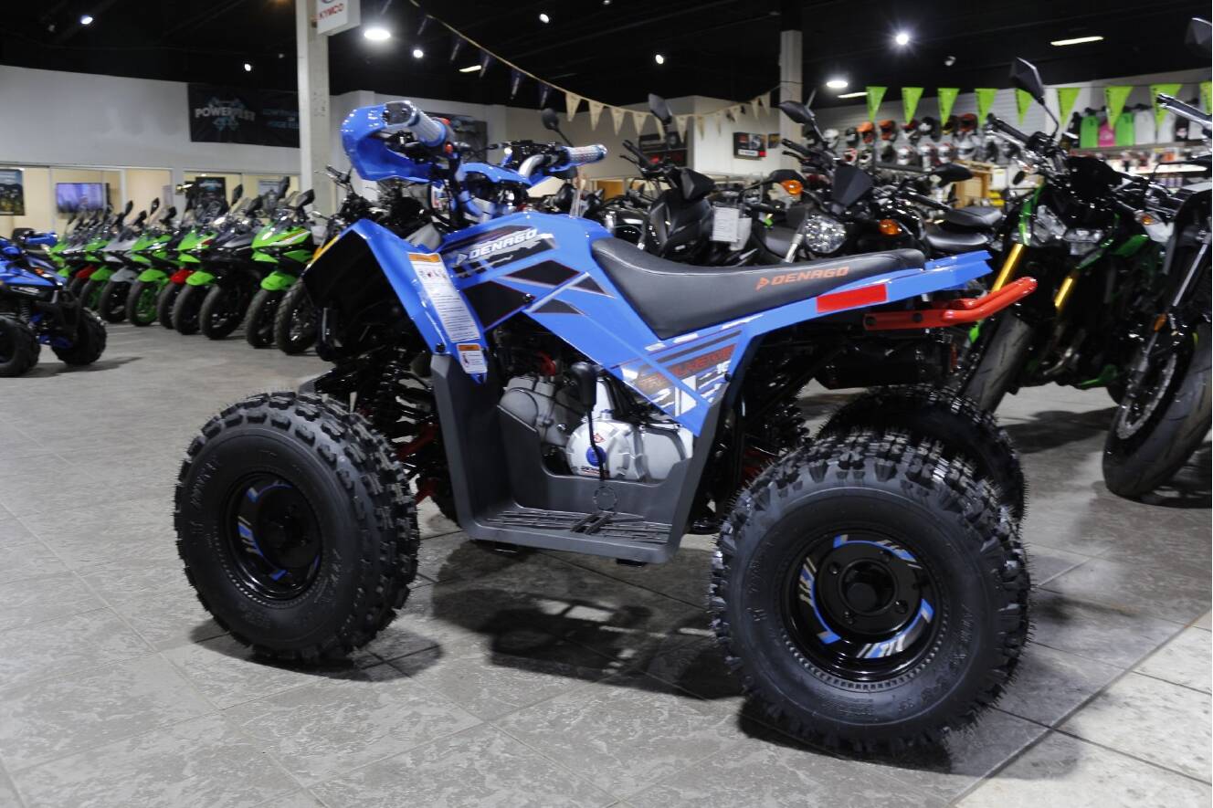 A photo of this 2026 Denago Powersports Trailhawk 10FI