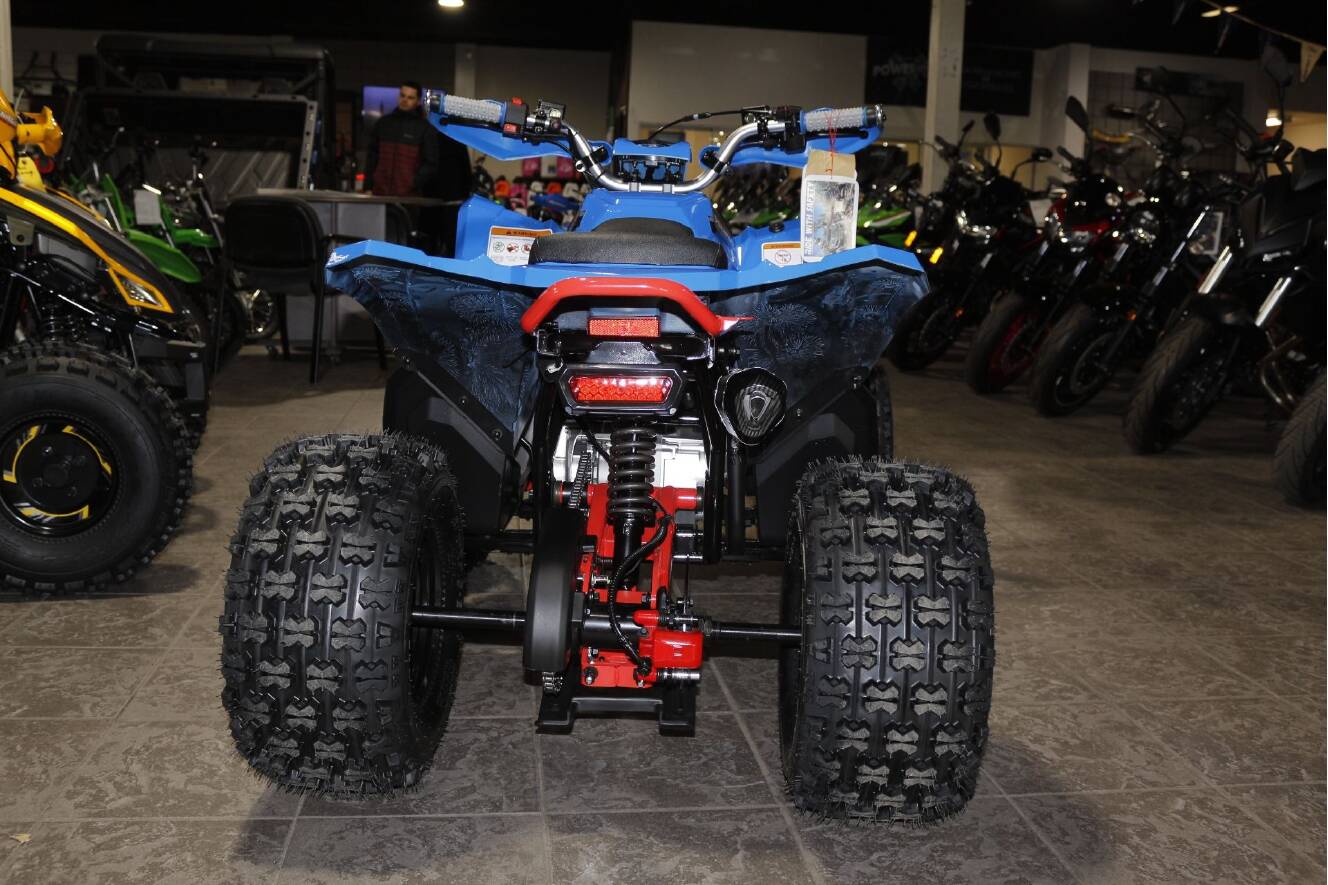 A photo of this 2026 Denago Powersports Trailhawk 10FI