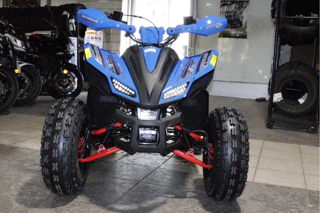 A photo of this 2026 Denago Powersports Trailhawk 10FI