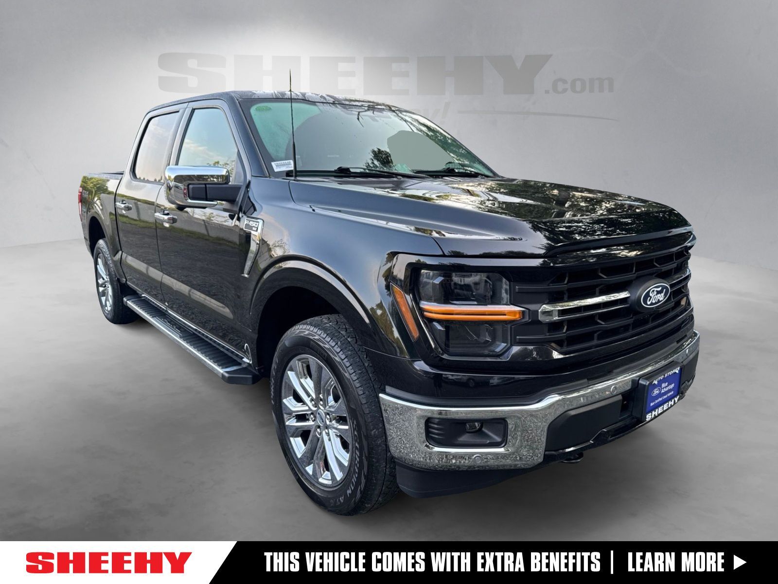 2024 FORD F150 XLT in Warrenton, VA