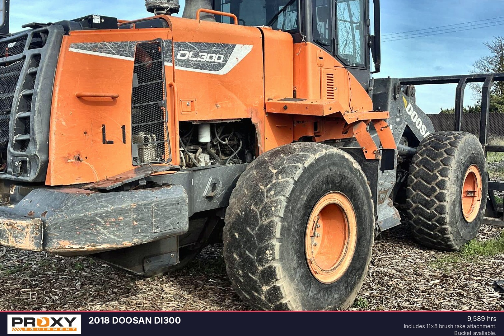 2018 DOOSAN Dl300 in Fresno, CA