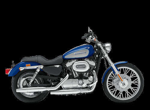 2008 Harley-Davidson Sportster 1200 Custom in Peoria, AZ